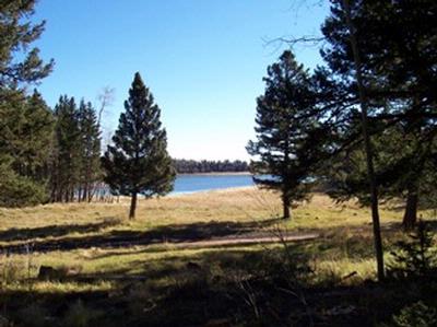 Lot 63 A & B  LAKEFRONT